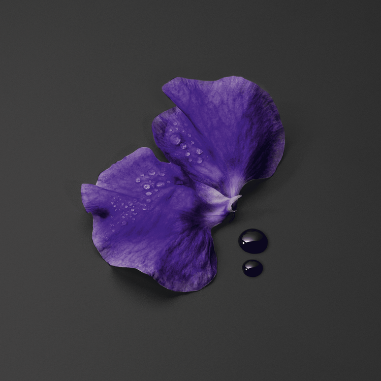 Acqua Di Giò - Elixir, la fragancia más intensa y concentrada de Acqua di Giò