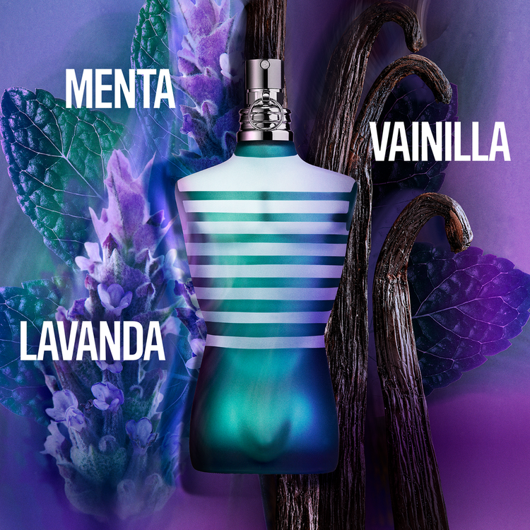 Le Male Eau De Toilette - Perfume, para hombre