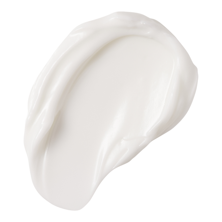 Protect & Perfect Intense Advanced Night Cream Crema de noche hidratación prolongada