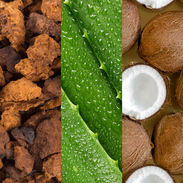 Aloe, Adaptogens and Coconut Water Spray facial con aloe hidrata la piel