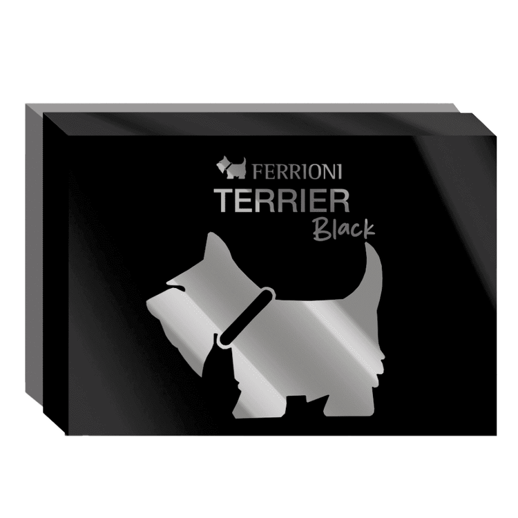 Terrier Black - Set de regalo, Eau de Parfum + shower gel + mini spray