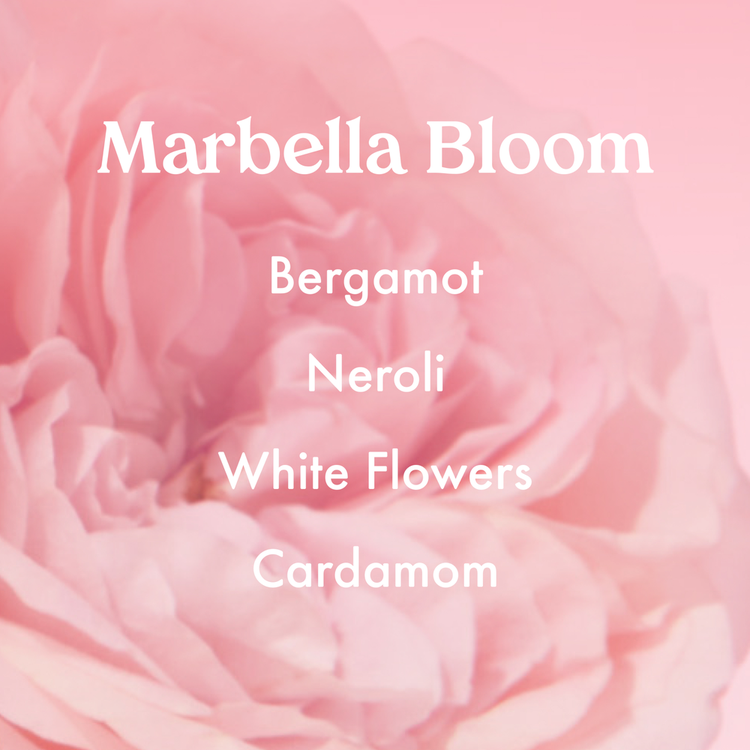 Scents Of Paradise - Kit de brumas, para cabello y cuerpo