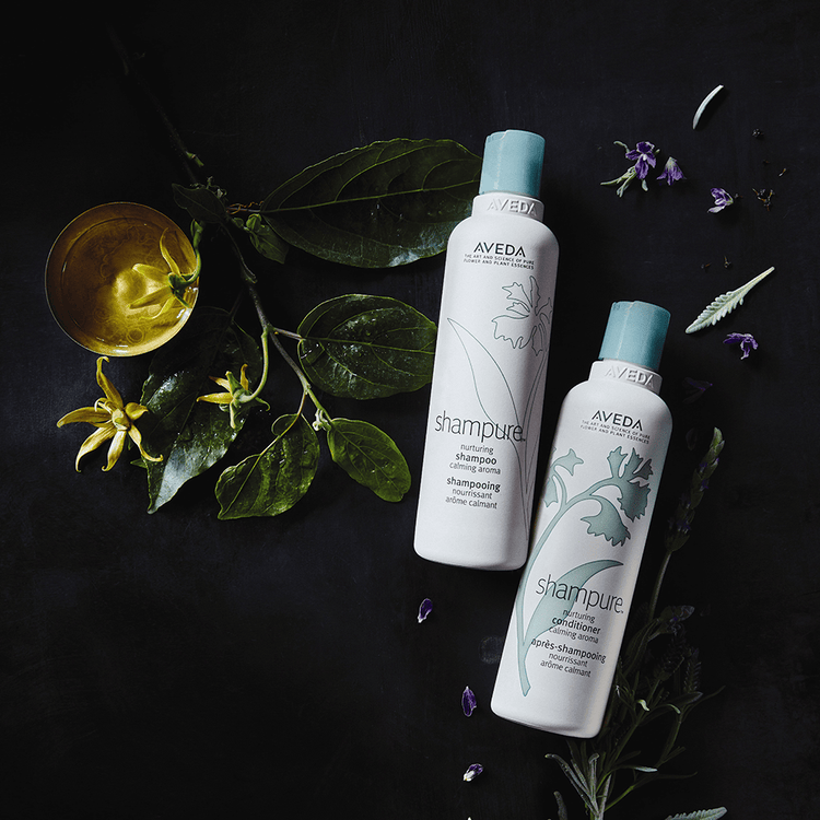 Shampure Shampoo limpia y nutre