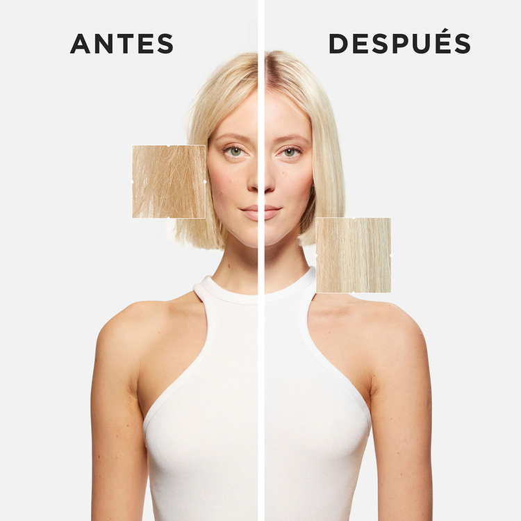Blond Absolu - Acondicionador, restaura y nutre el cabello