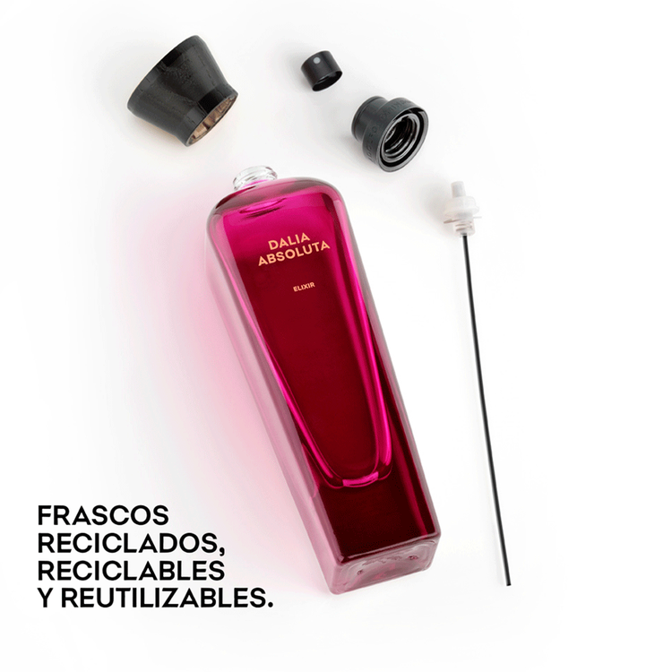 Dalia - Parfum, el primer elixir de Adolfo Dominguez