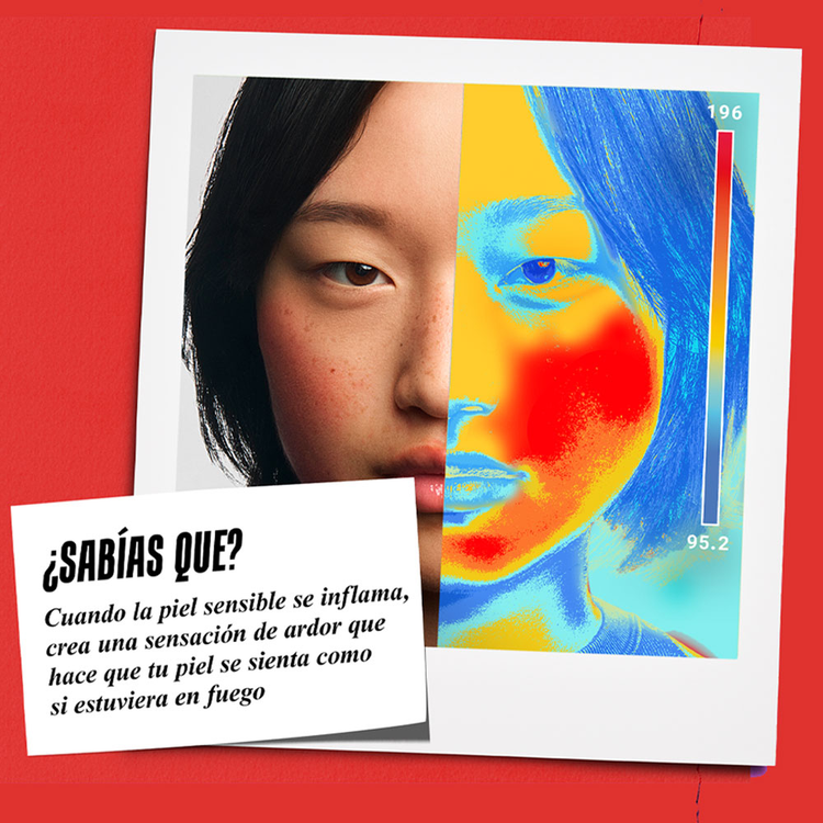 Ultra Facial Meltdown Recovery Cream - Crema hidratante facial, repara la piel extremadamente seca y sensible