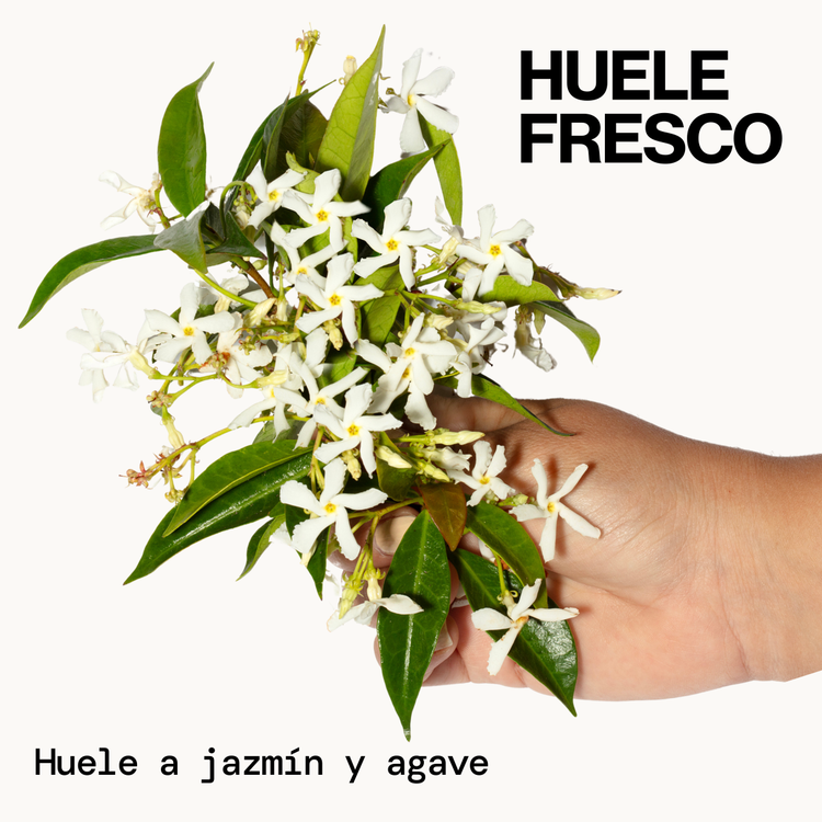 Jasmine Agave Strength + Shine - Aceite para cabello, combate el frizz