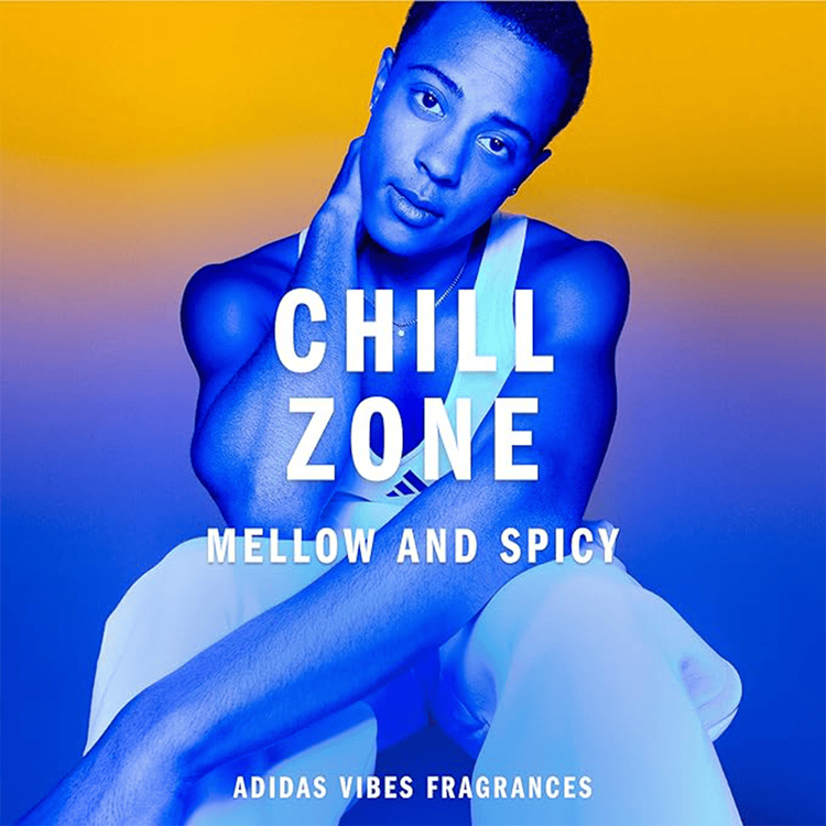 Vibes Chill Zone Eau De Parfum Perfume aroma fougere ambery