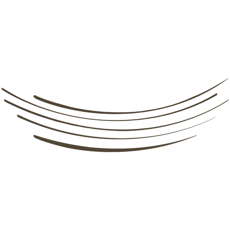 Brow Ink Delineador de ceja en gel