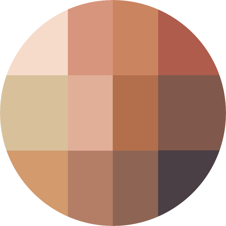 ChromaPlus 12-Pan - Paleta de sombras, larga duración