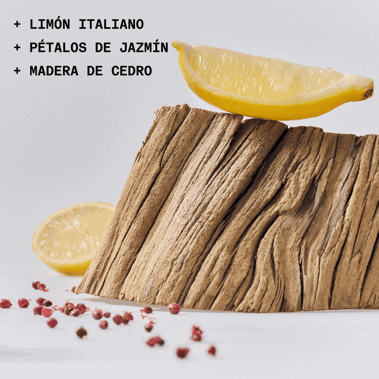 The Solid Fragrance - Lost + Found - Le Parfum, aroma concentrado