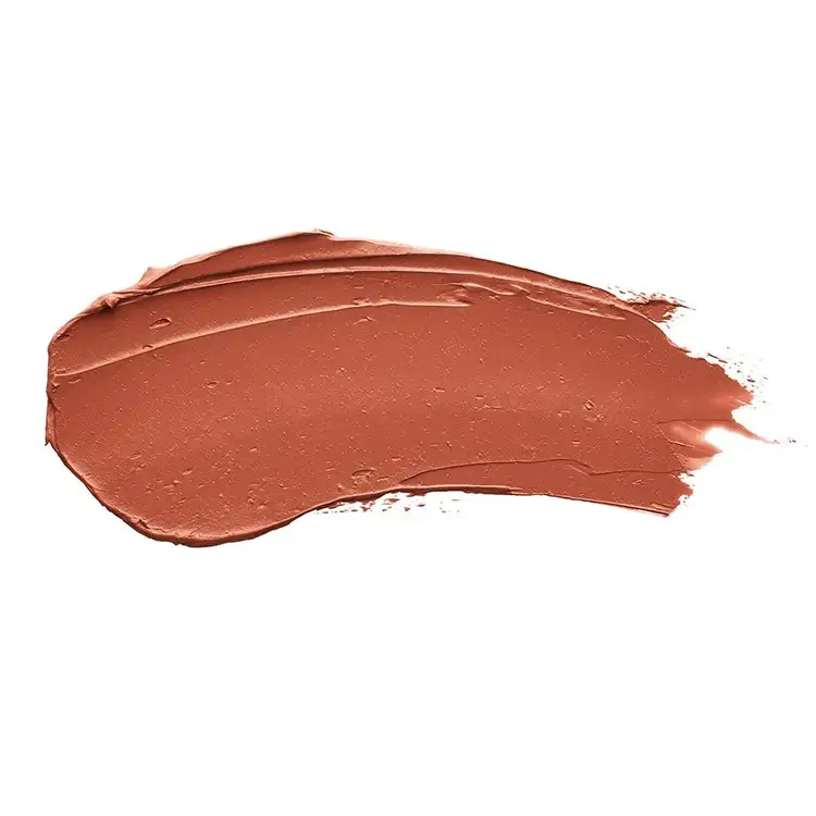 Vice Lipstick - Barra de labios, acabado en crema mate