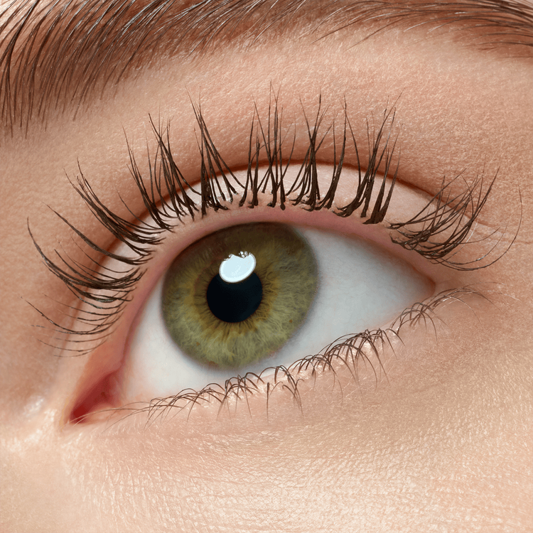 Lash Princess False Lash Effect Máscara de pestañas volumen dramático efecto pestañas postizas