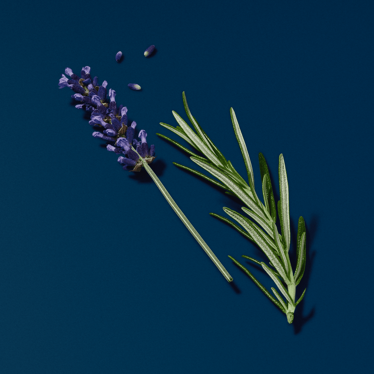 Acqua Di Giò Profondo - Parfum, fragancia que tramsite profunda frescura