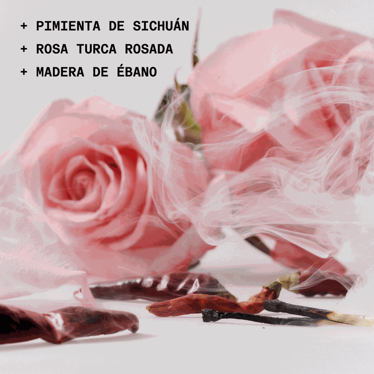 Love Club - Le Parfum, aroma concentrado