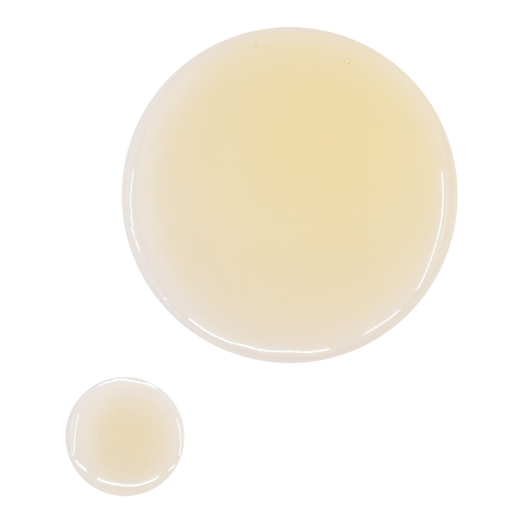 Undaria Algae - Aceite corporal, mejora la elasticidad de la piel