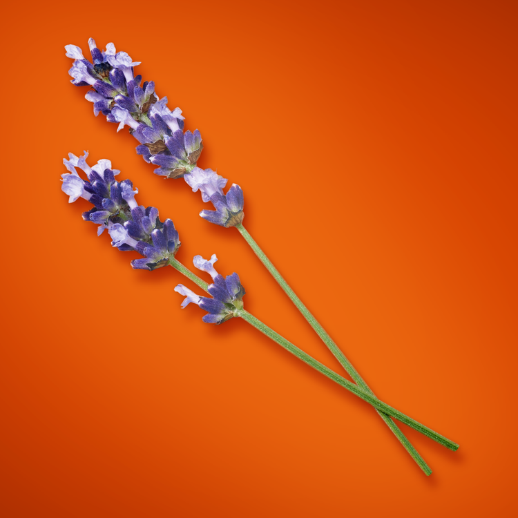 Stronger With You Intensely Eau De Parfum - Perfume, para hombre