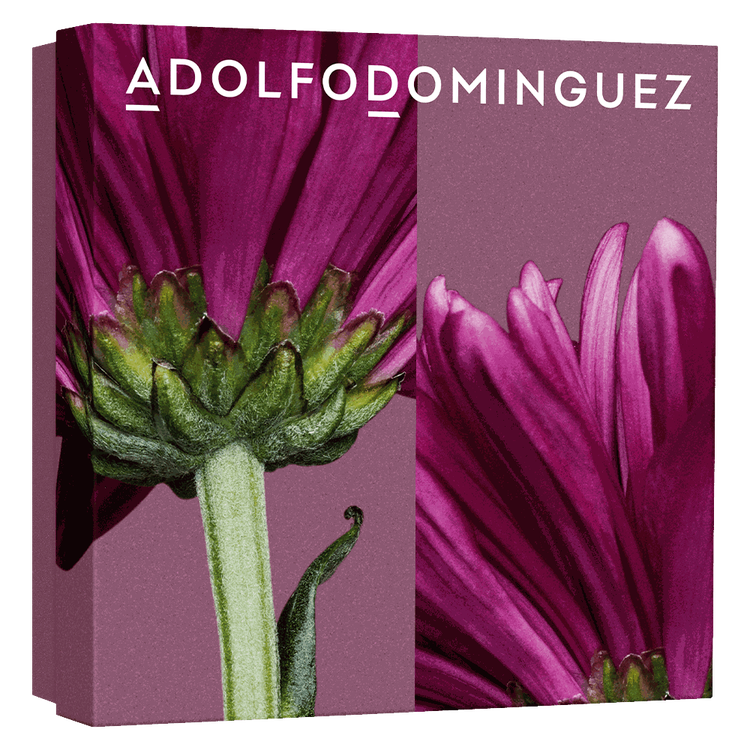 Dalia Absoluta - Set de regalo, parfum 120 ml + 10 ml + loción corporal 75 ml