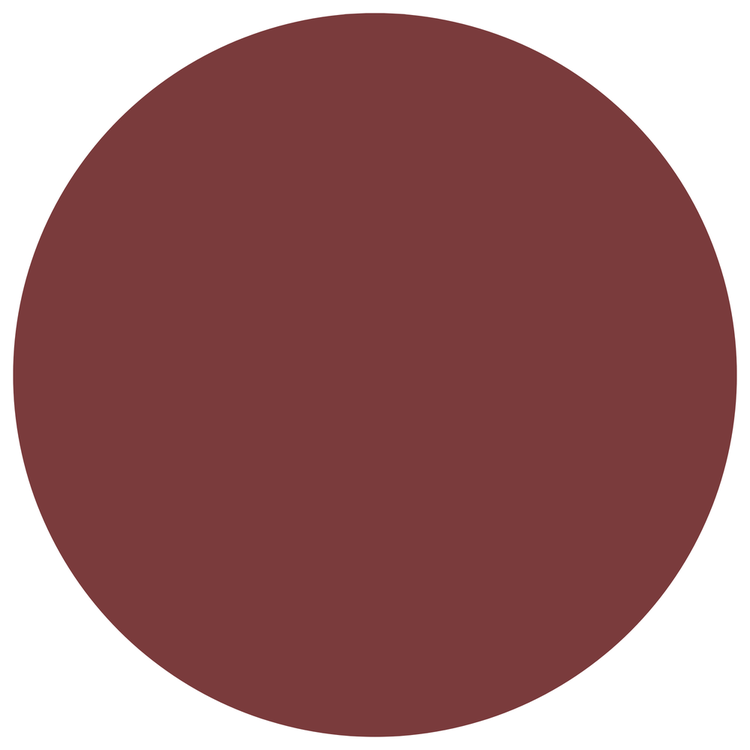 Pure Color Envy Lipstick - Labial en barra, de larga duración