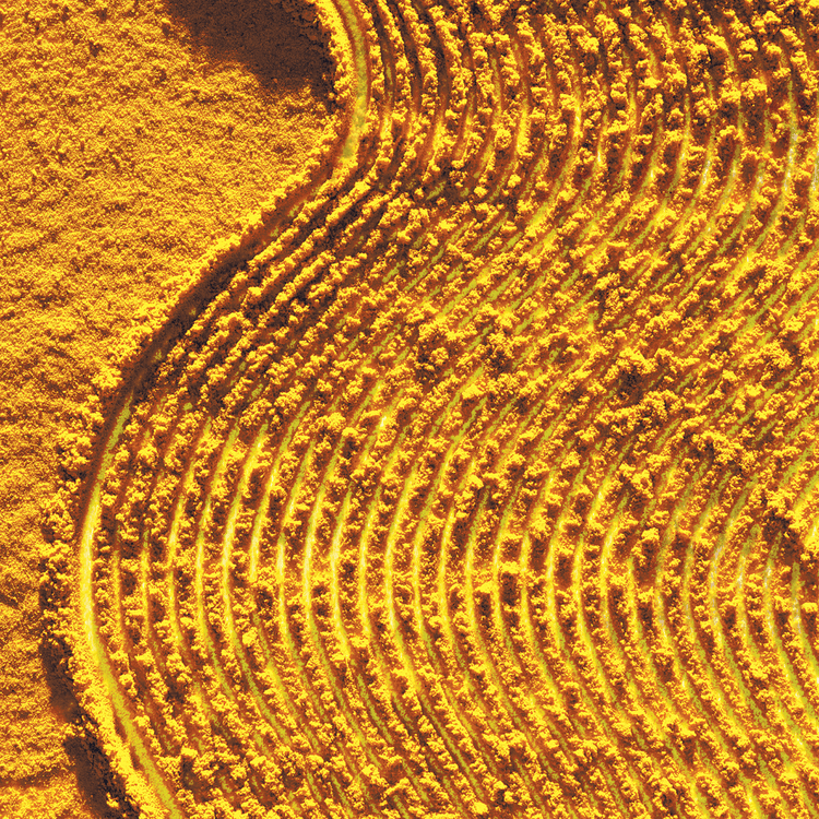 Invati Ultra Shampoo ligero evita la caida del cabello y engrosa la fibra capilar