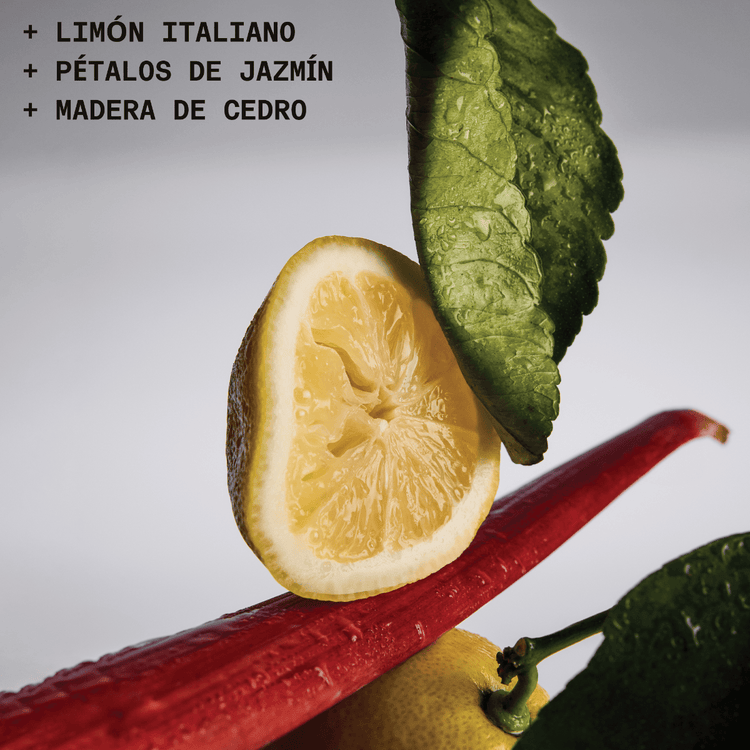 Lost + Found - Eau De Parfum, como piel fresca y limpia con un toque cítrico que no se olvida