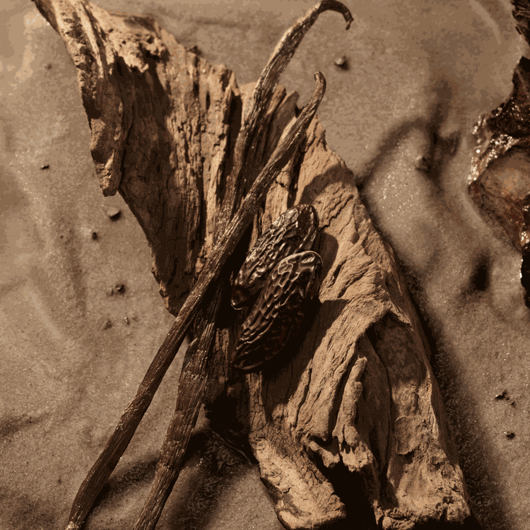 Hero Elixir - Parfum, equilibra suavidad y poder