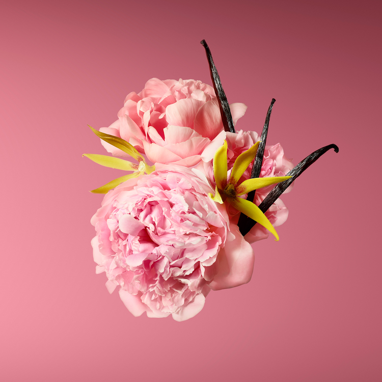 Good Girl Blush - Hair mist, aroma floral