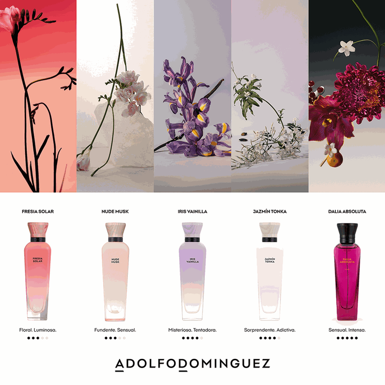 Dalia Absoluta - Set de regalo, parfum 120 ml + 10 ml + loción corporal 75 ml