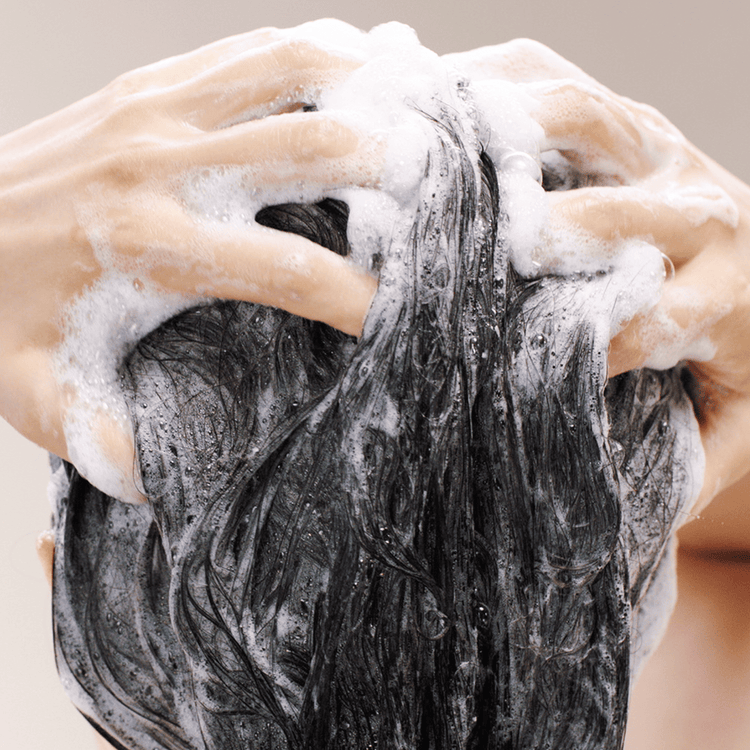 Scalp Advanced - Shampoo, hidrata y cuida el cuero cabelludo