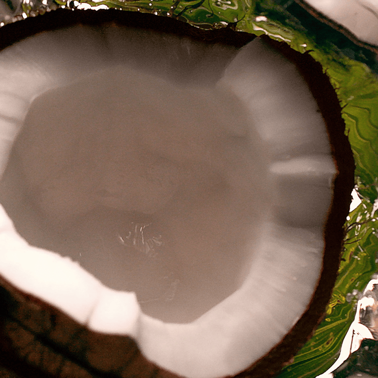 Nutriplenish Acondicionador hidrata y nutre el cabello seco y opaco