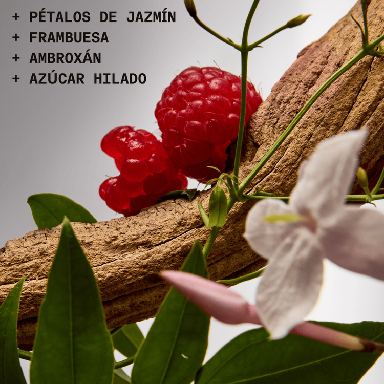 12:00 - Eau De Parfum, fragancia dulce especial