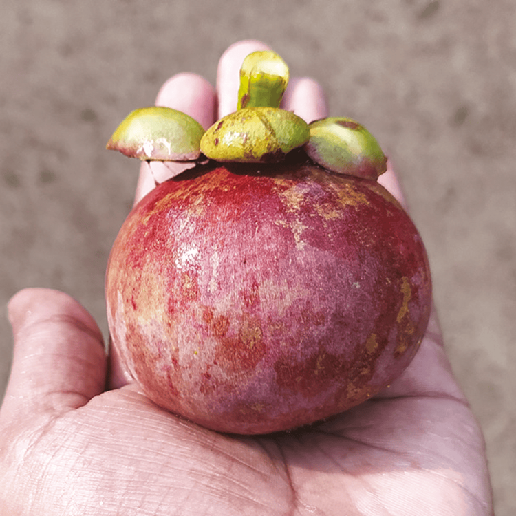 Be Curly Acondicionador hidratante de rizos