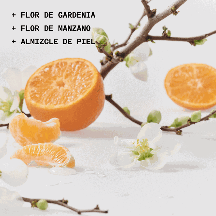 The Solid Fragrance - Detour - Le Parfum, aroma concentrado