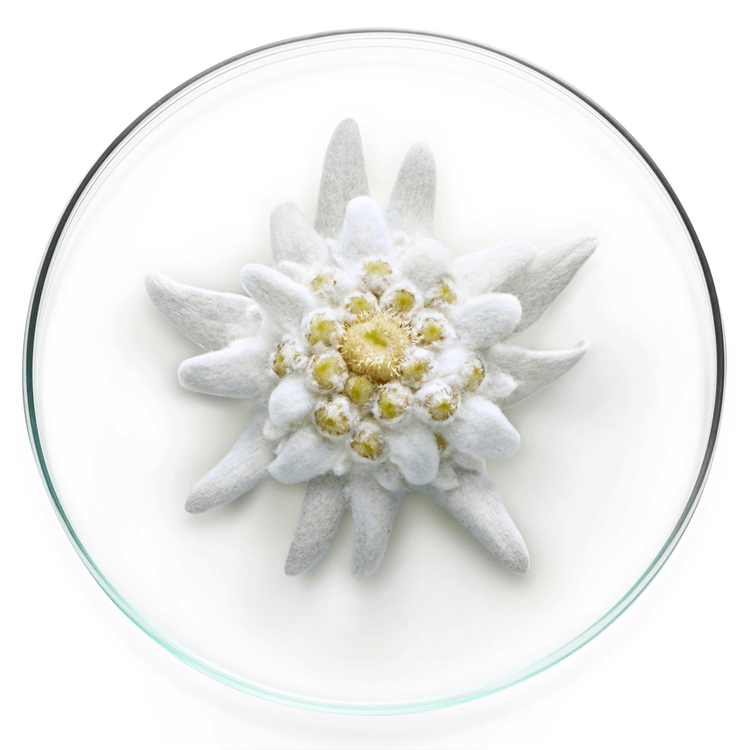 Lancôme Uv Expert Milky Bright Spf50 Protector solar protehe contra rayos UBV, UVA y contaminación urbana