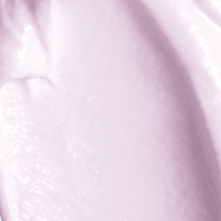 Mmp Primer contiene 10 funciones