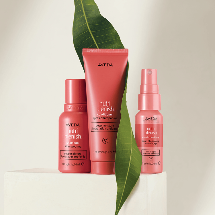 Nutriplenish Acondicionador hidrata y nutre el cabello seco