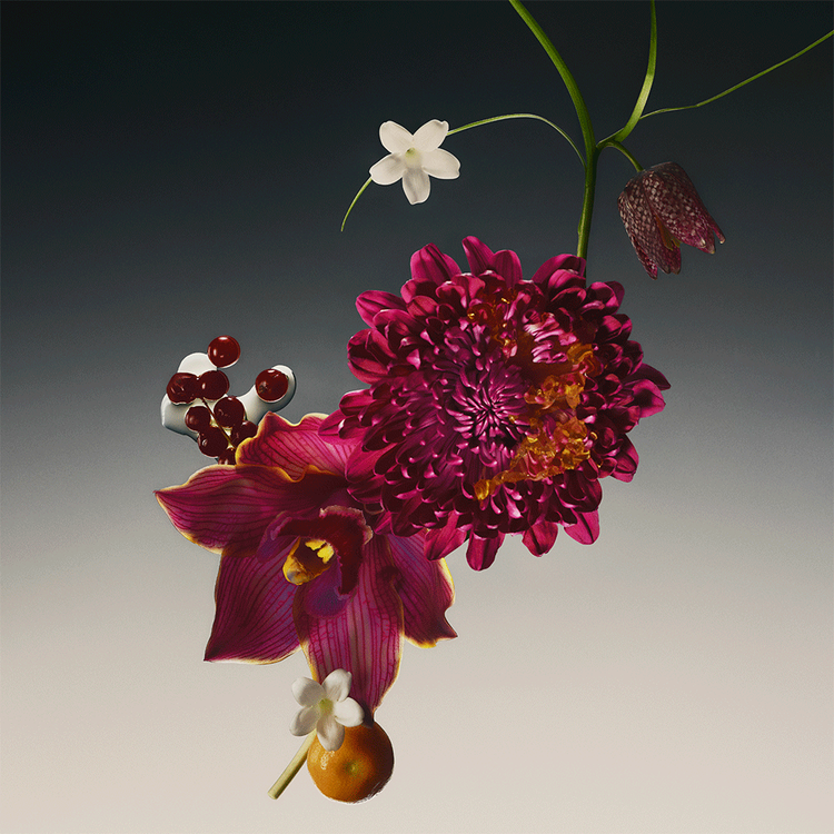 Dalia - Parfum, el primer elixir de Adolfo Dominguez