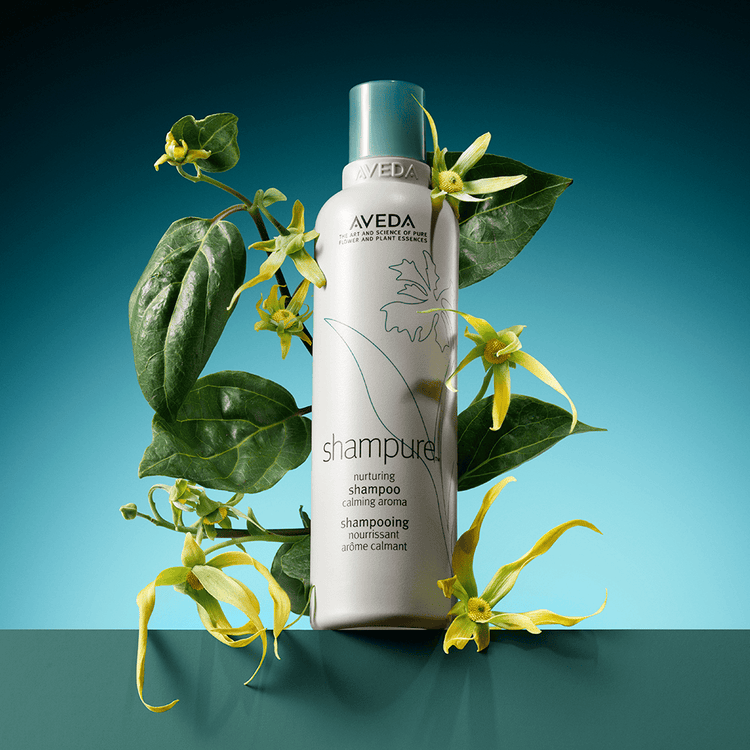 Shampure Shampoo limpia y nutre