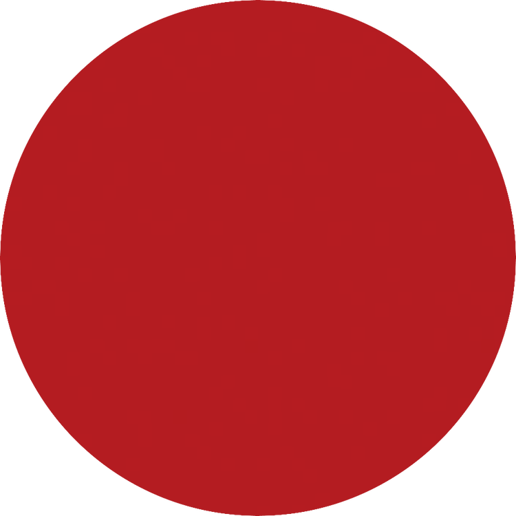 Color Statement - Lápiz labial, acabado satinado