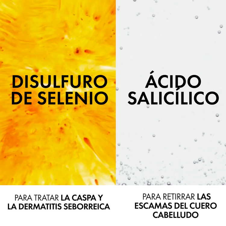 Dercos Shampoo anti caspa seca