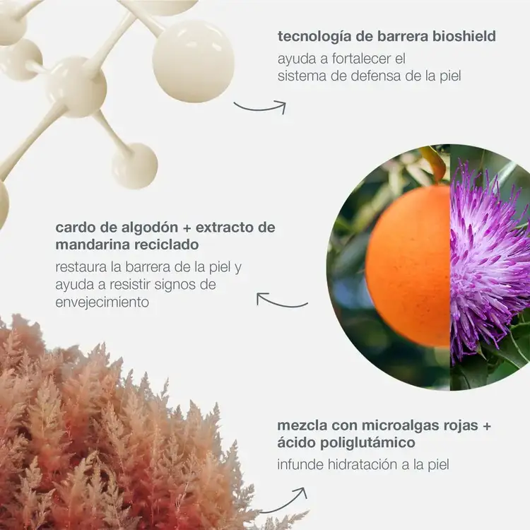 Dynamic Skin Strengthening Serum Suero antienvejecimiento fortalece, hidrata y protege la piel.