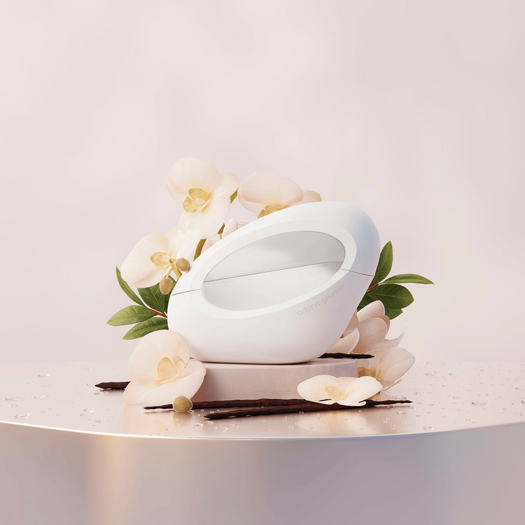 Mod Vanilla - Eau de Parfum, aroma con toque gourmand