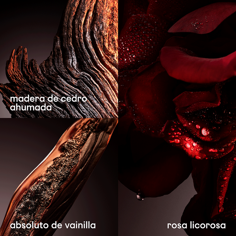 1 Million Gold Elixir Eau de Parfum para hombre