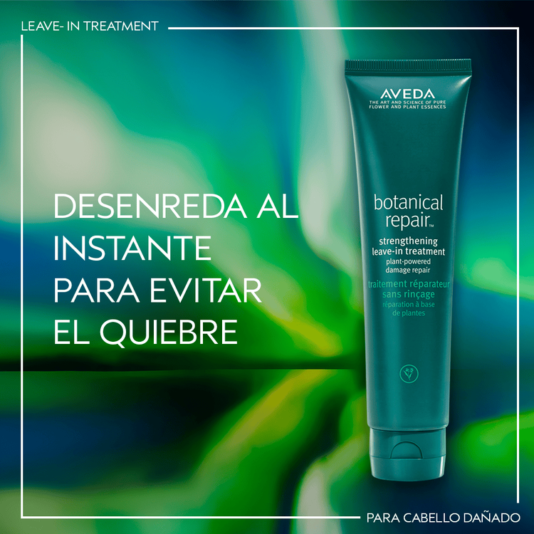 Botanical Repair Set de regalo reparación