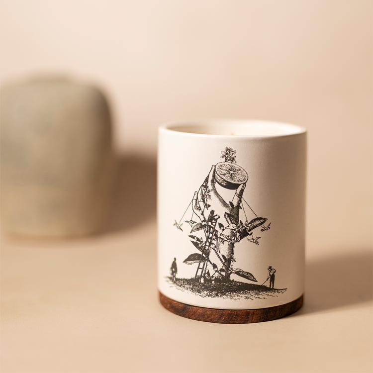 Perfumed Candle - Vela pefumada, aroma de larga duración