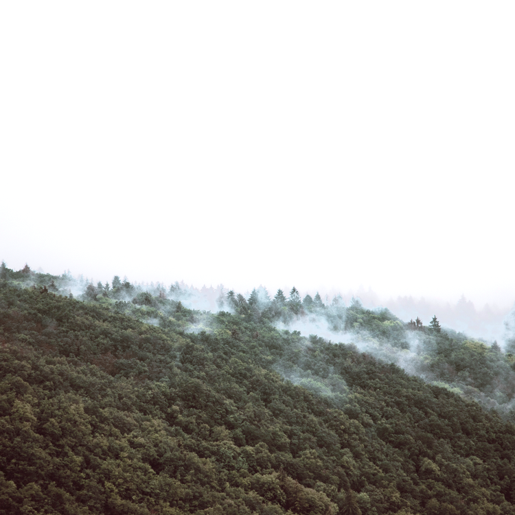 Room & Linen Spray Spring Ambientador 8 a 24 horas de duración