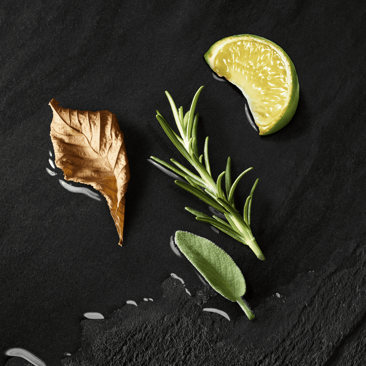 Acqua Di Giò - Parfum, fresca fragancia marina de larga duración