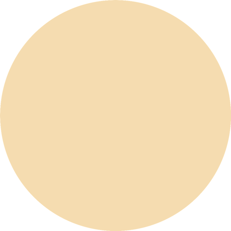 16H Cover & Last Powder Foundation - Polvo + bronceador, cobertura duradera efecto mate