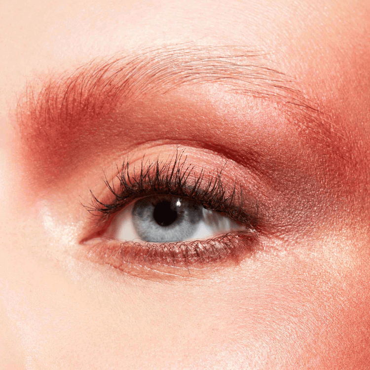 Connect In Colour Paleta de sombras pigmentos puros y aplicación uniforme