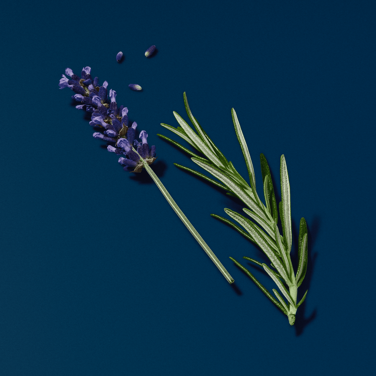 Acqua Di Giò Profondo - Eau De Parfum, posee una intensidad marina, profunda y acuática